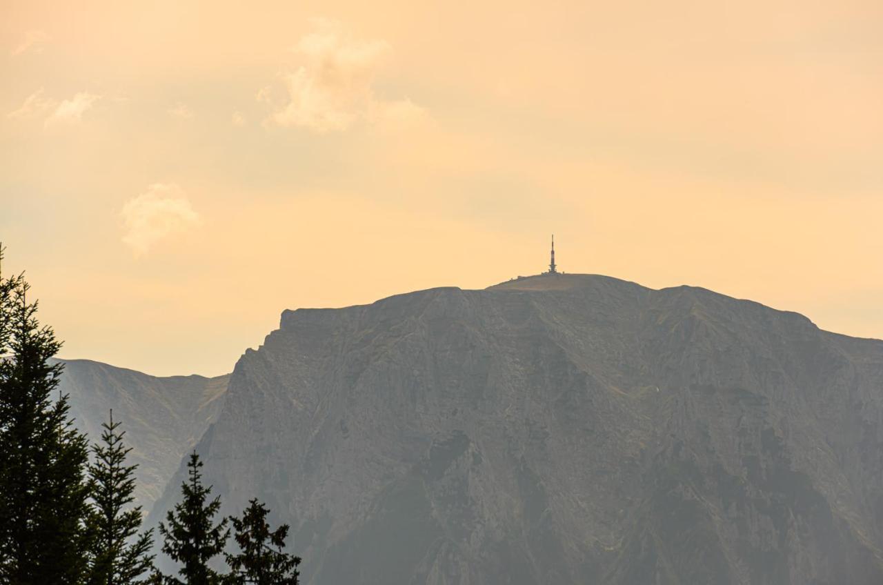 Pensiunea Hilltop Предял Экстерьер фото