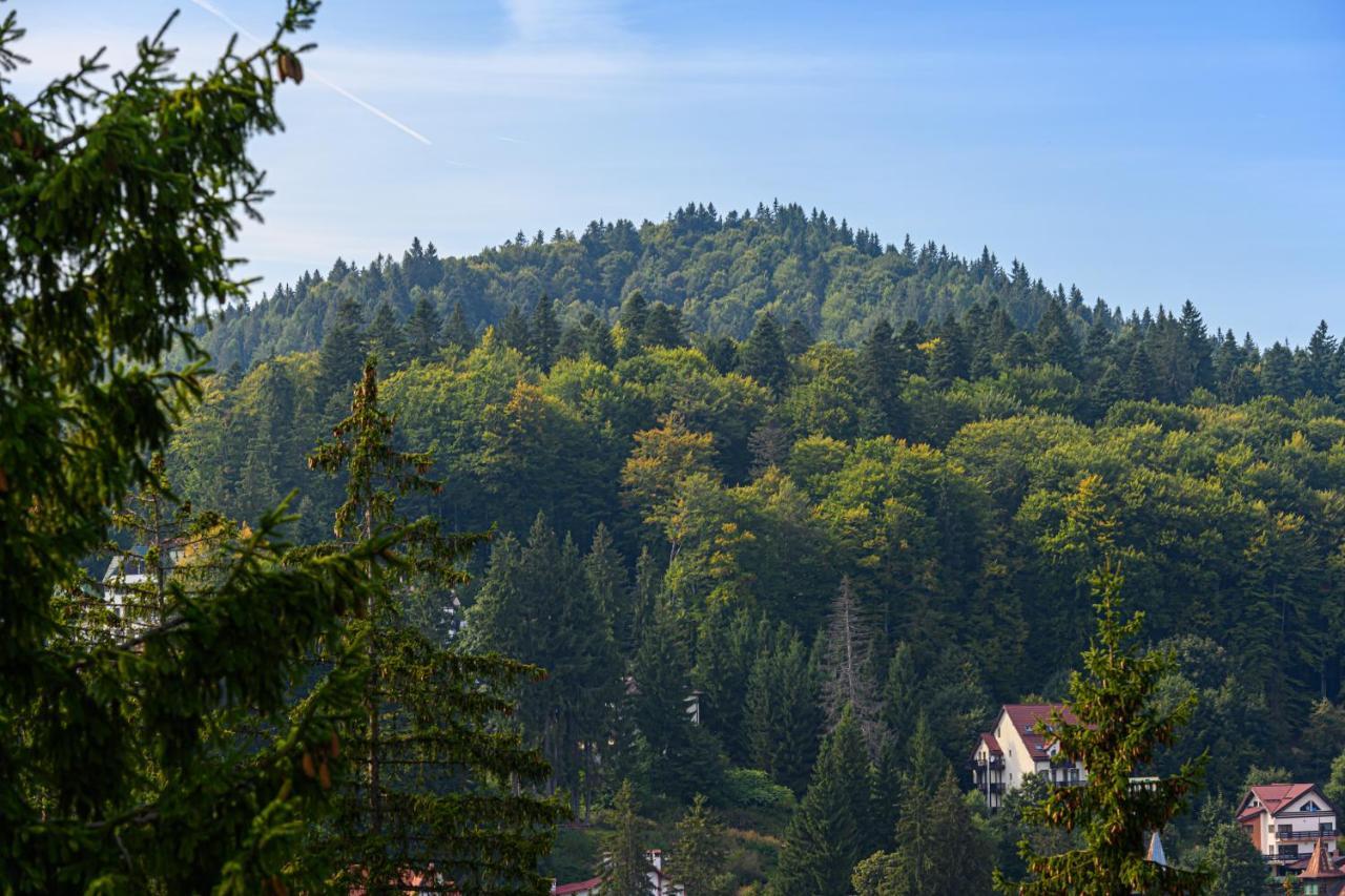 Pensiunea Hilltop Предял Экстерьер фото